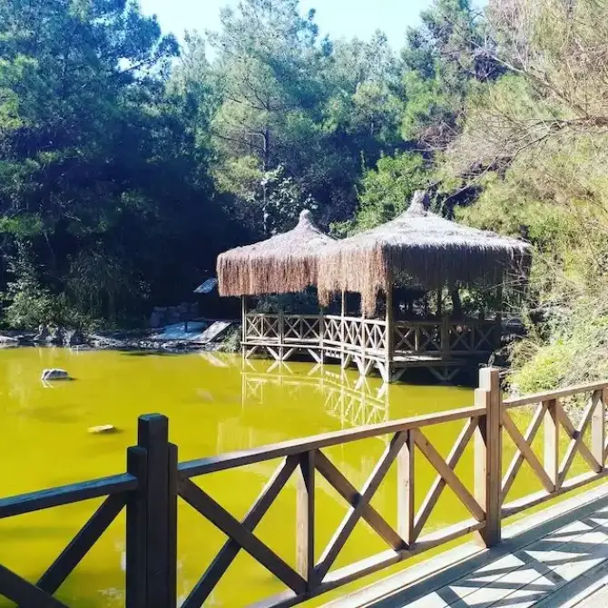Rakula Urla - İzmir Mekan Rehberi