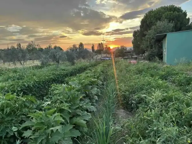 Taşkemer Kahvaltıevi Kınık - İzmir Mekan Rehberi