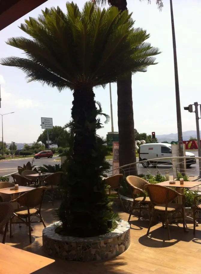 Tuna Patisserie - İzmir Mekan Rehberi