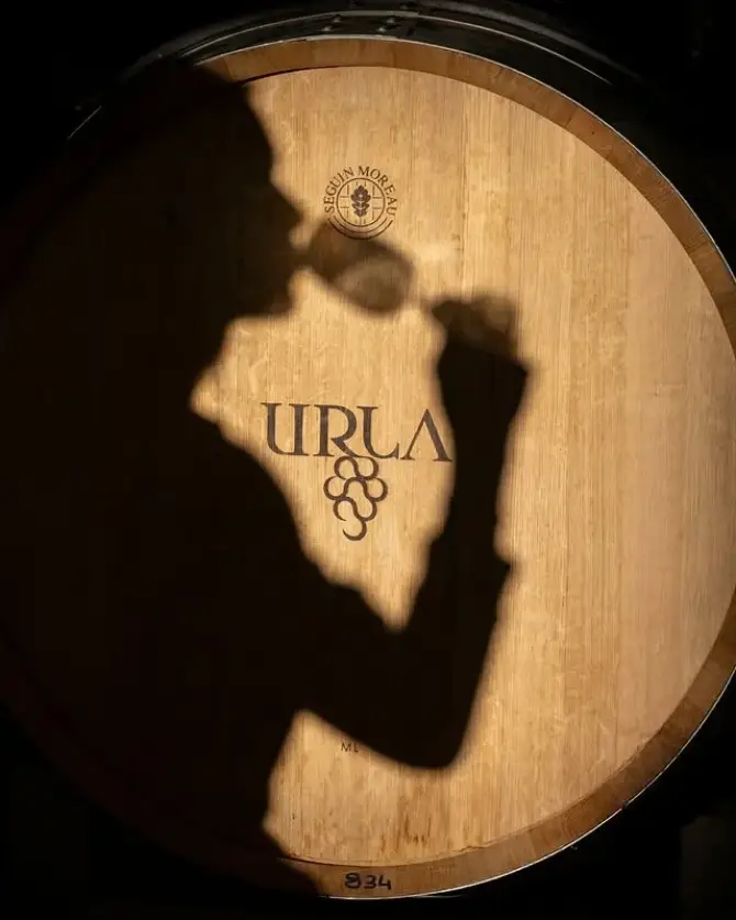 Urla Şarapçılık - İzmir Mekan Rehberi