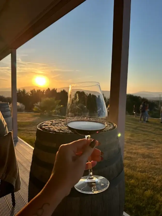 Usca Winery Urla - İzmir Mekan Rehberi