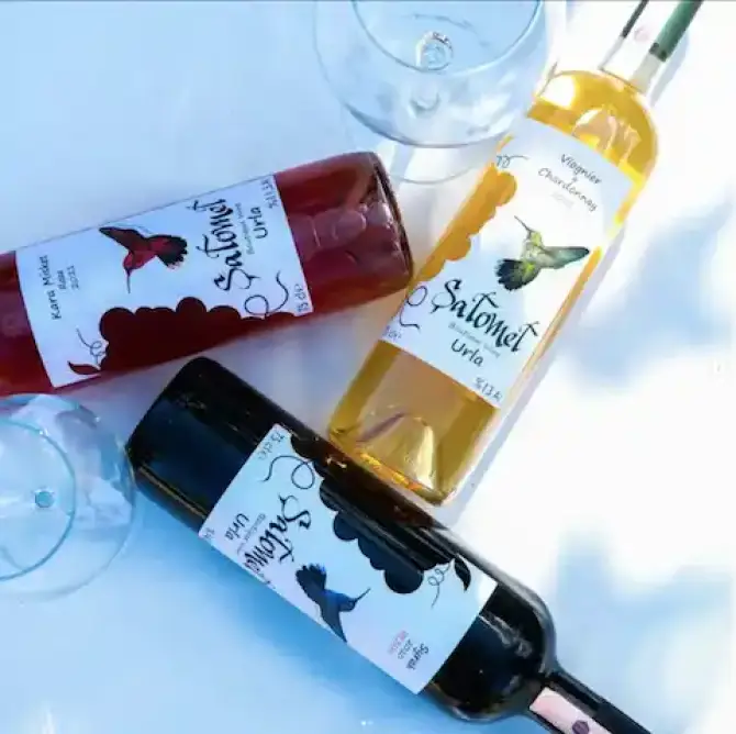 Wine House Urla - İzmir Mekan Rehberi