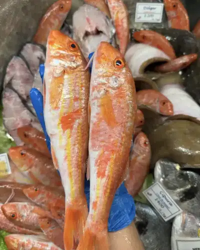 Yengeç Restaurant Urla fotoğraf 5 - İzmir Mekan Rehberi