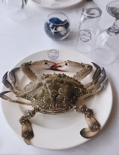 Zafer'in Yeri Restaurant Kordon fotoğraf 6 - İzmir Mekan Rehberi