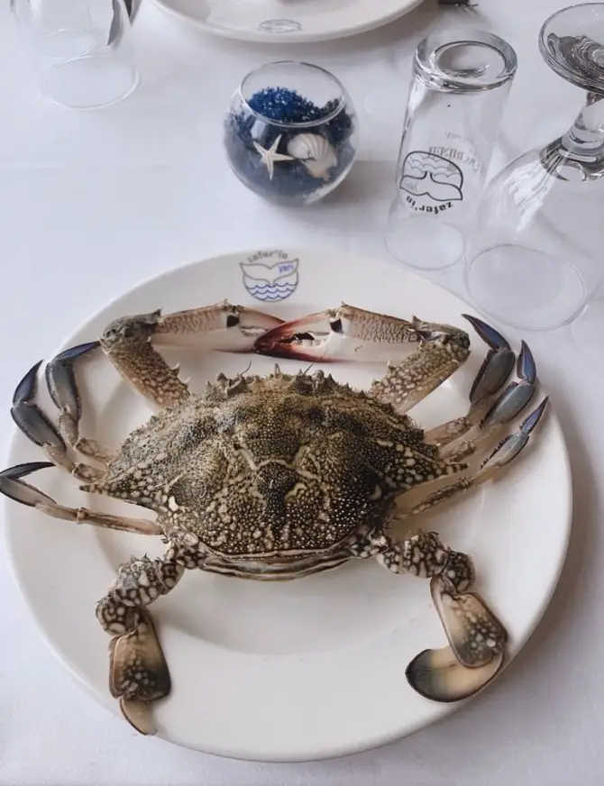 Zafer'in Yeri Restaurant Kordon - İzmir Mekan Rehberi