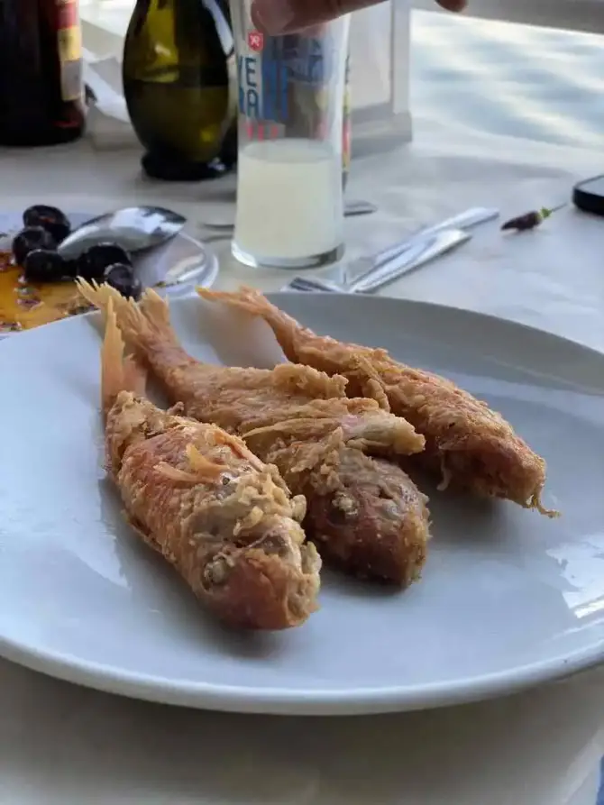 Özal'ın Yeri Balıklıova - İzmir Mekan Rehberi
