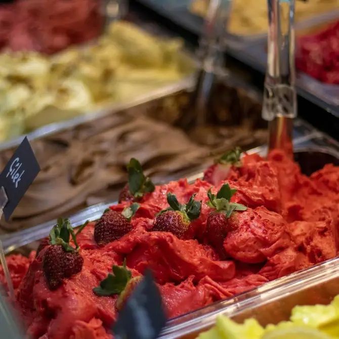 Zebra Gelato - İzmir Mekan Rehberi