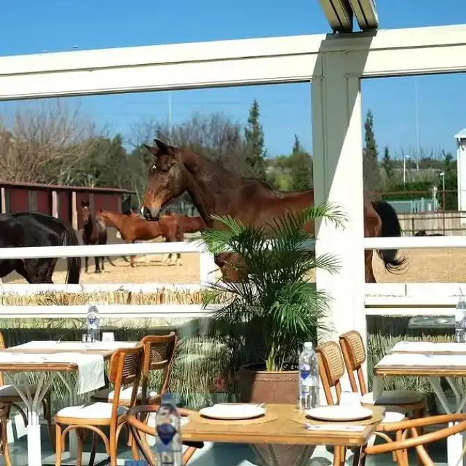 Zey Country Kitchen - İzmir Mekan Rehberi