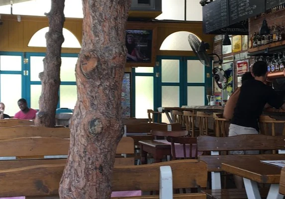 İzmir'de Geç Saatlere Kadar Açık Kütüphane Kafeler  - İzmir Mekan Rehberi