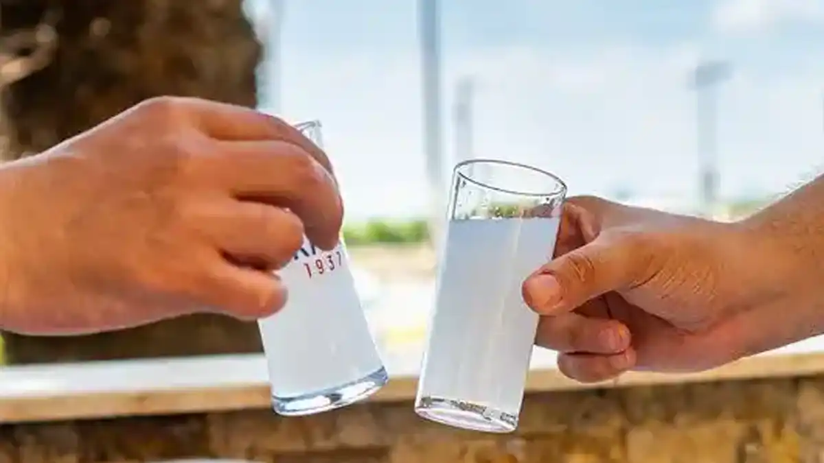 orkinos restauant Küçükyalı