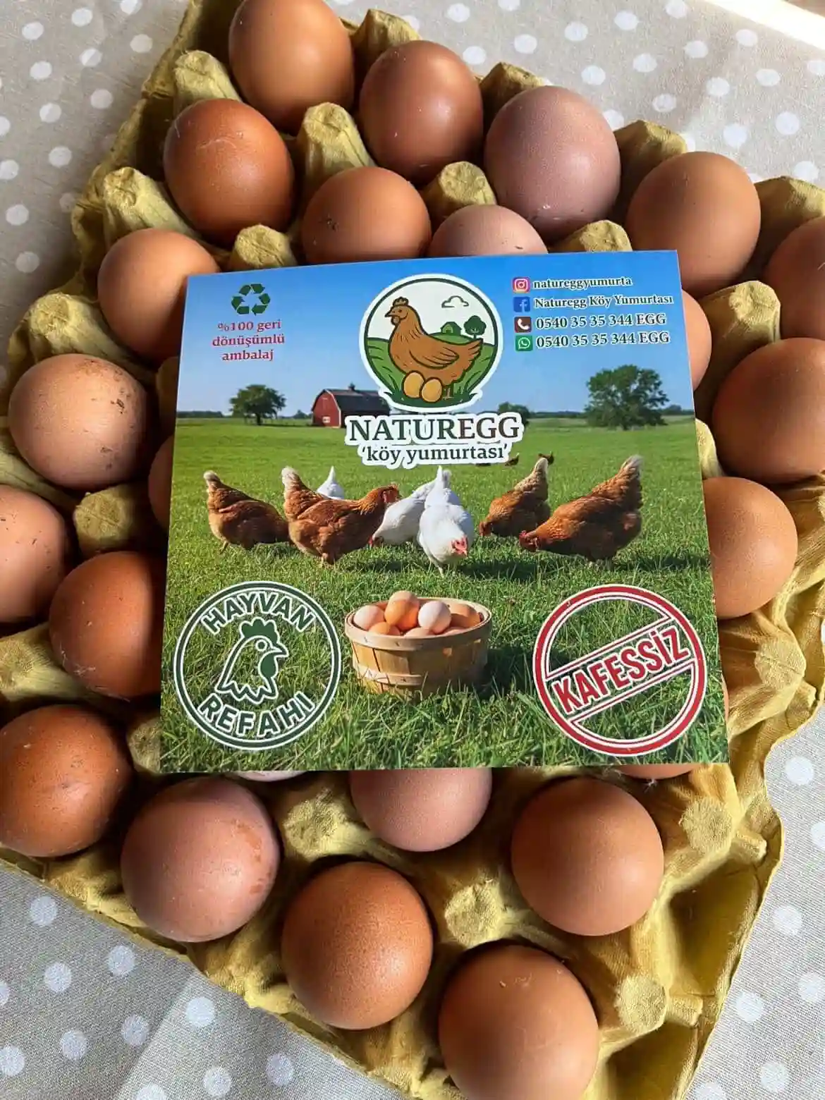 Gerçek Köy Yumurtası Arayanlara Urla Müjdesi: Işıkları Kapattık, Doğanın Ritmini Sofranıza Taşıdık! - İzmir Mekan Rehberi