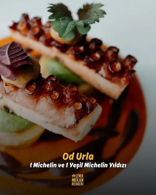 İzmir Mekan Rehberi