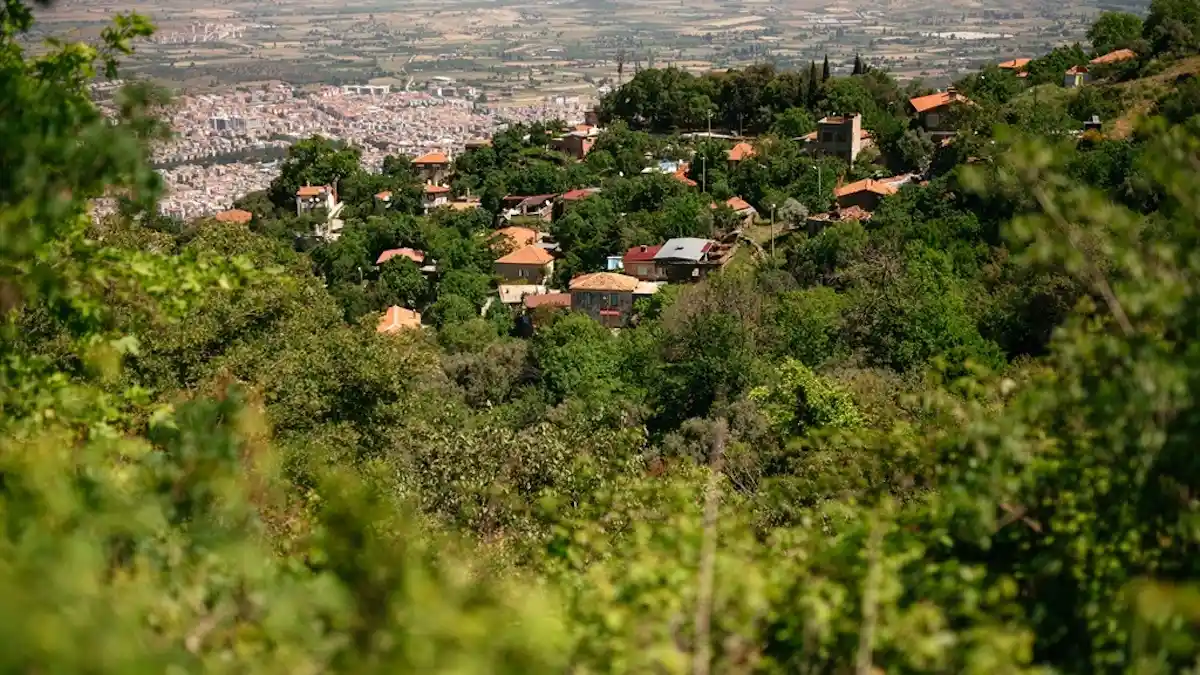  Tire Kaplan Köyü Yürüyüş Rotaları ve Kestane Hasadı - İzmir Mekan Rehberi