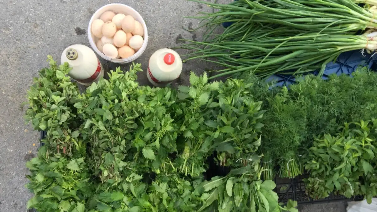 Tire Salı Pazarı'nın Unutulmaya Yüz Tutmuş Şifalı Ege Otları - İzmir Mekan Rehberi