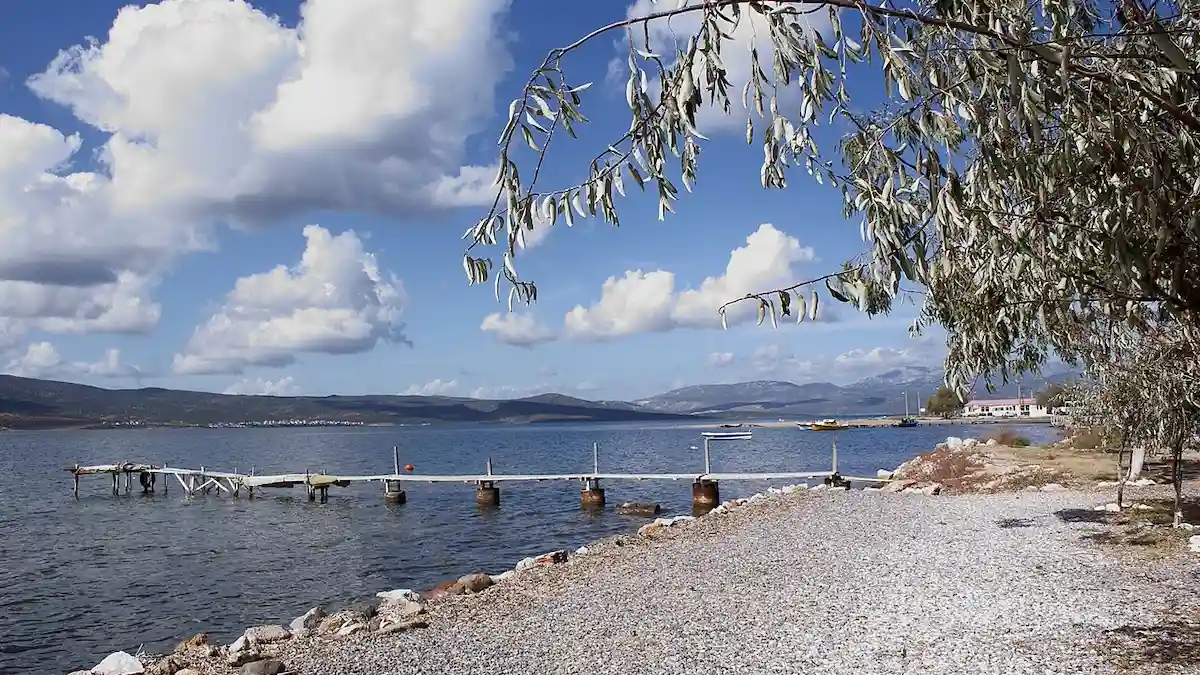 Urla Özbek Köyü'nün Geleneksel Deniz Ürünleri Kültürü - İzmir Mekan Rehberi