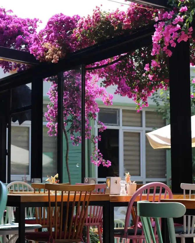 1881 Cafe & Lounge - İzmir Mekan Rehberi