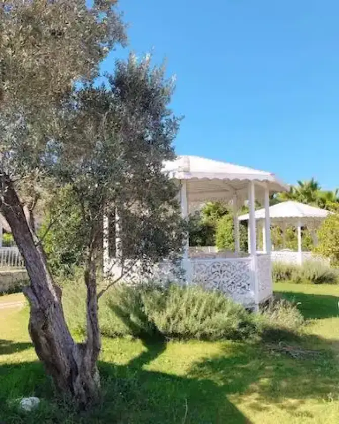 Zeytinli Köşk - İzmir Mekan Rehberi