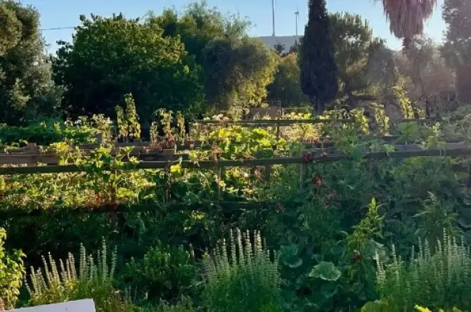 Bağ Bostan Alaçatı Kahvaltı - İzmir Mekan Rehberi